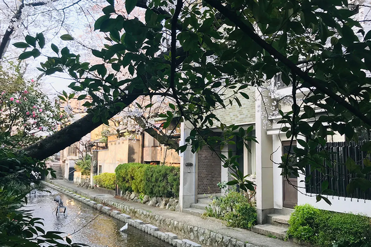 Kiyomizu-Gojo! Used home facing the Takase River