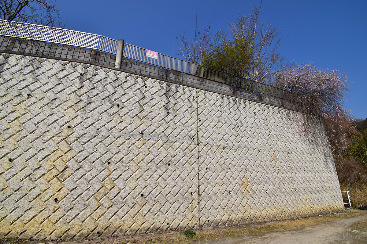 Land in Nishikamo Marumine, Kitaku (south side)