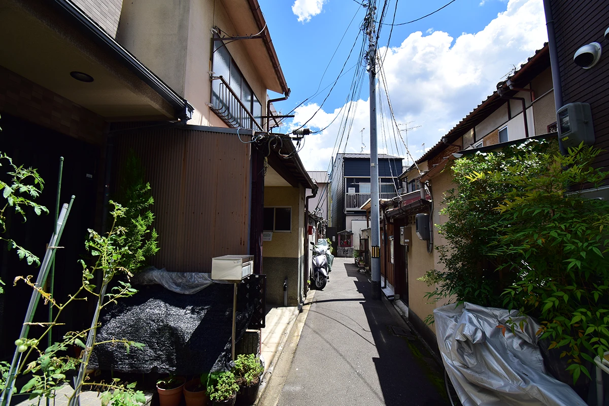 A house built on a long and narrow lot that looks like an eel's bed