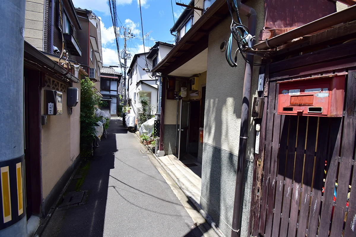 A house built on a long and narrow lot that looks like an eel's bed