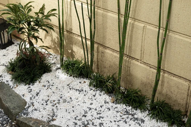 Income-Generating Guesthouse in Sakyo – Turnkey Property